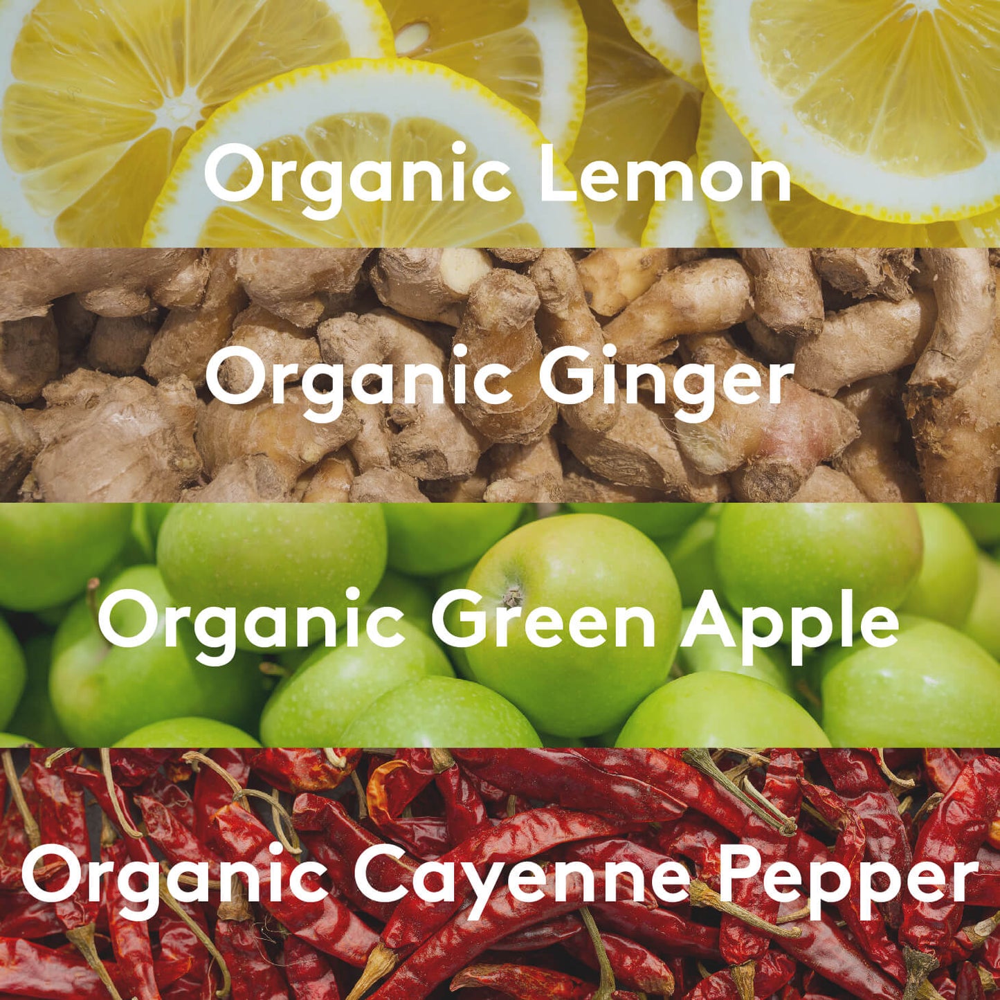 GINGER SuperShot®(12 PACK)