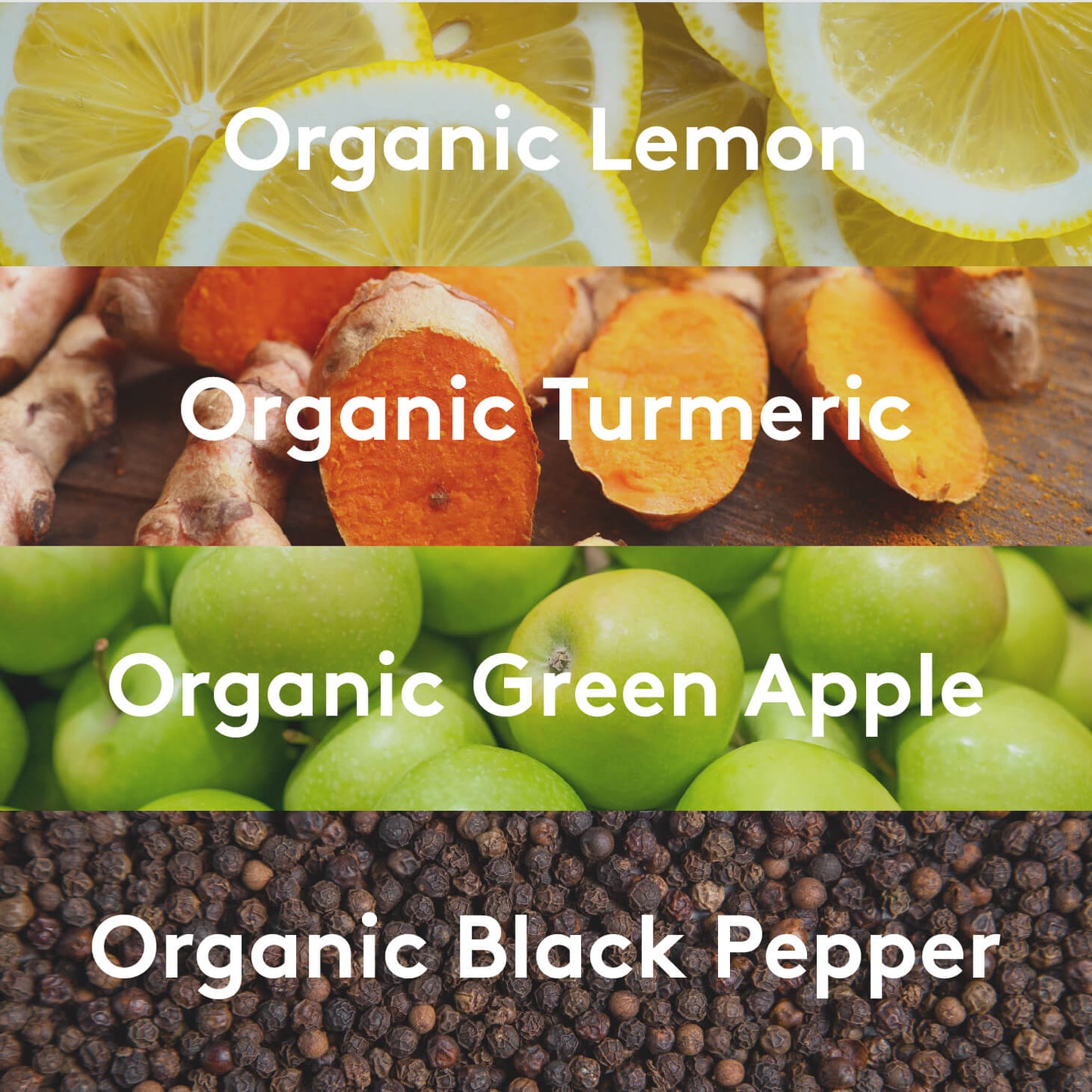 TURMERIC SuperShot®(12 PACK)