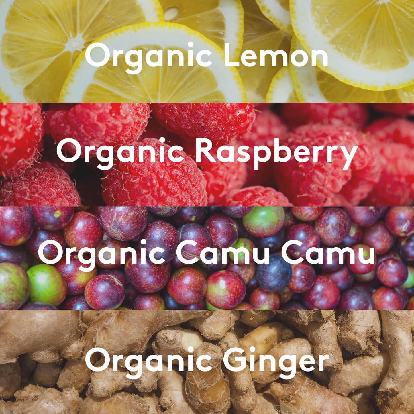 IMMUNI-TI® SuperShot®(12 PACK)