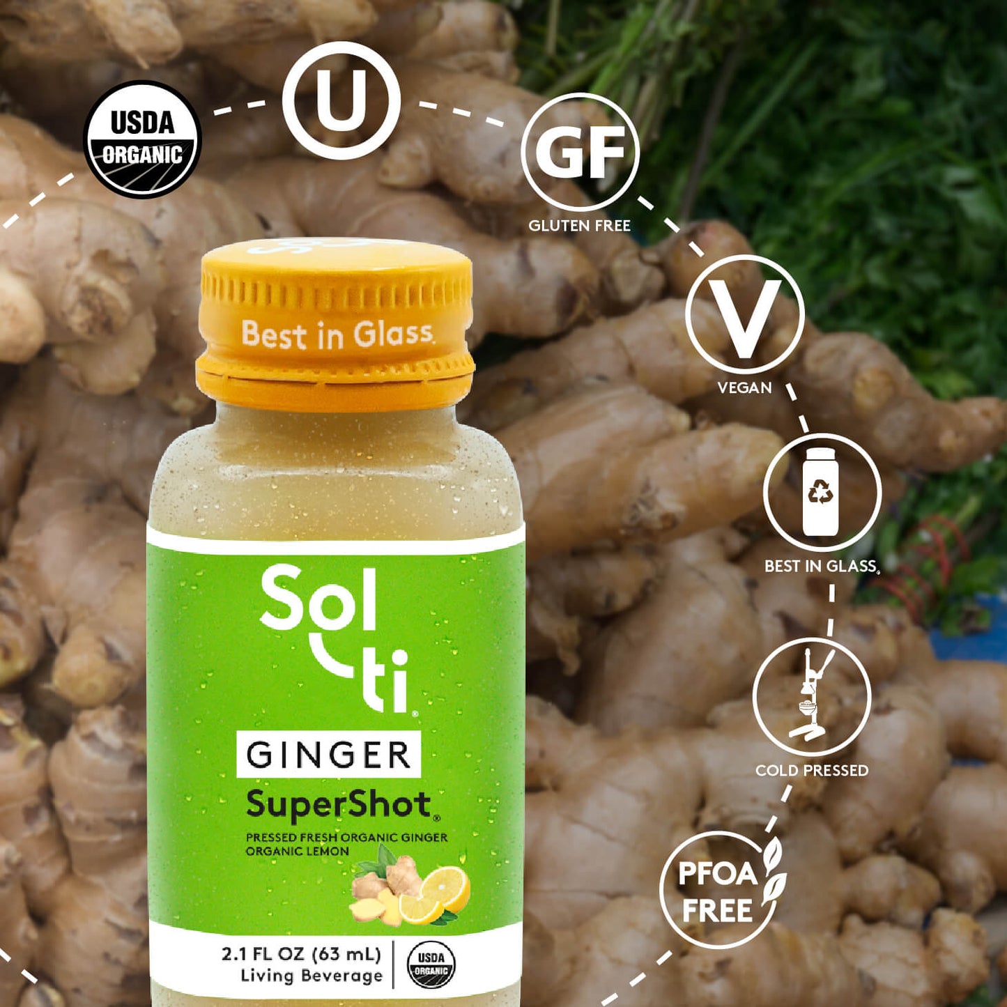 GINGER SuperShot®(12 PACK)