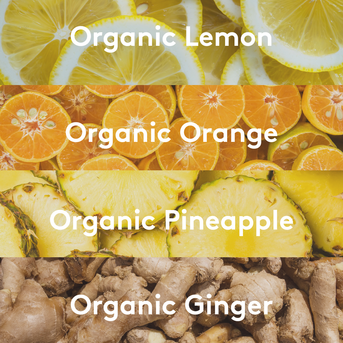 TROPICAL GINGER SuperShot®(12 PACK)