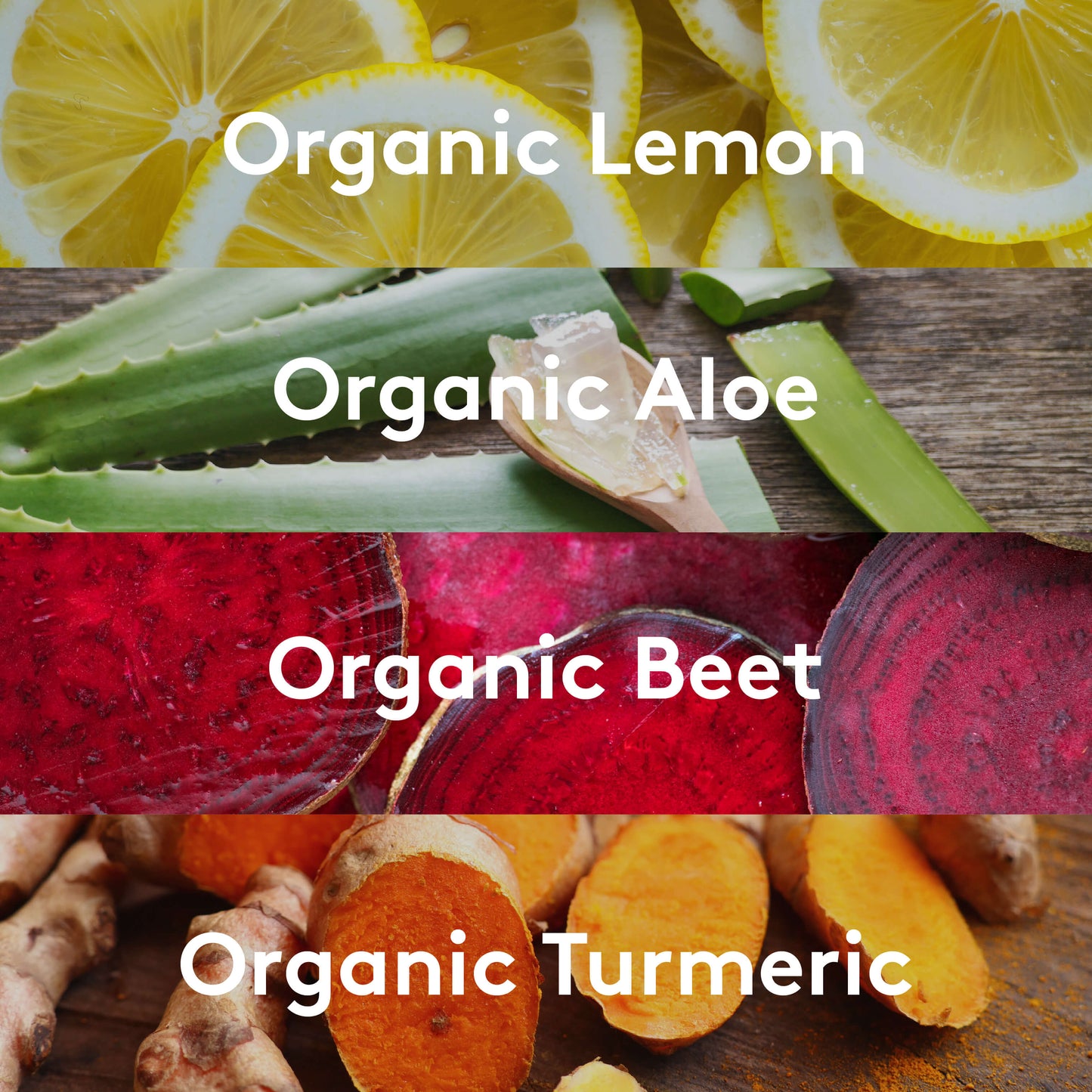 ALOE BEET SuperShot®(12 PACK)