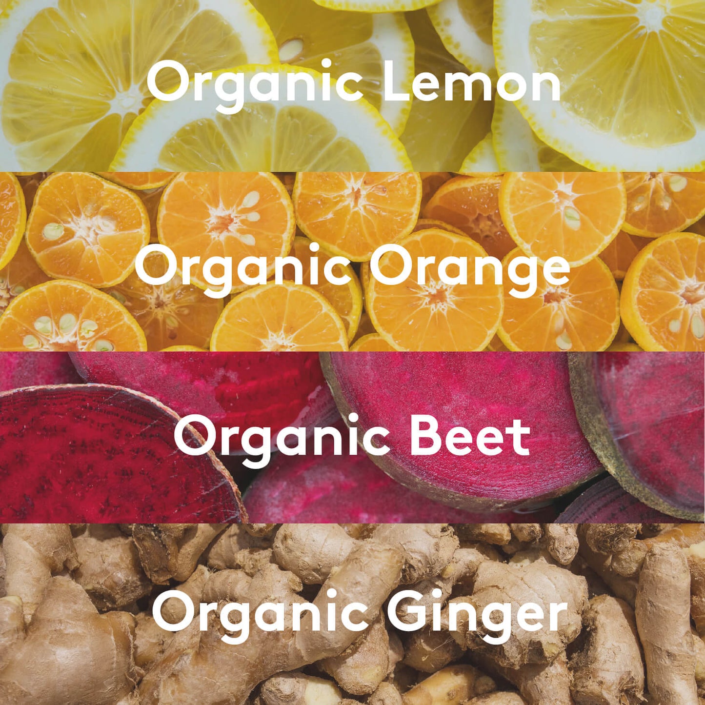 GINGER BEET SuperShot®(12 PACK)