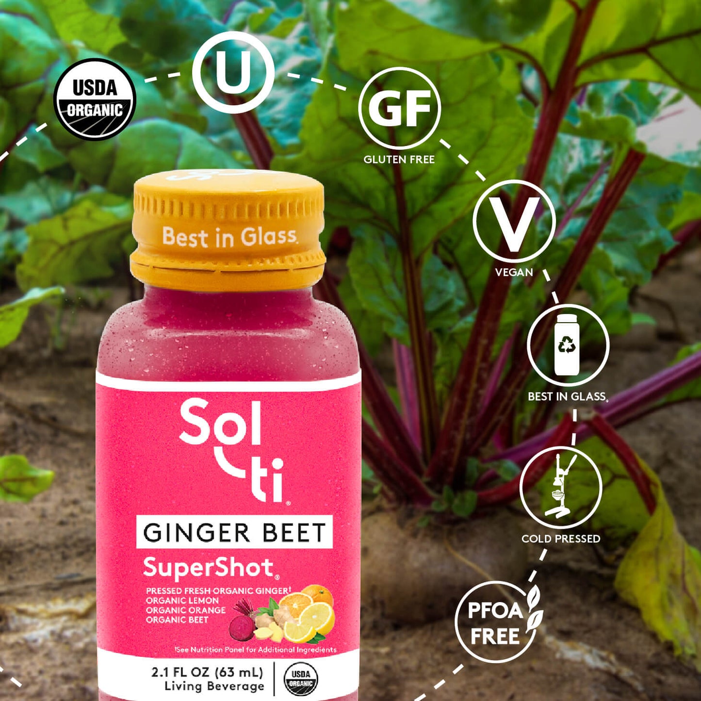 GINGER BEET SuperShot®(12 PACK)