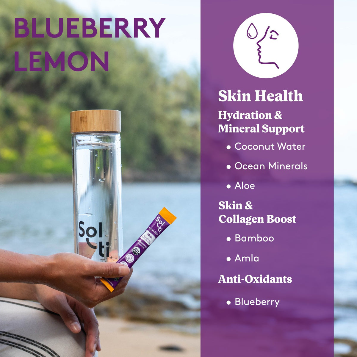 Blueberry Lemon SuperStix® (84 Pack - 12 x 7 Packs)