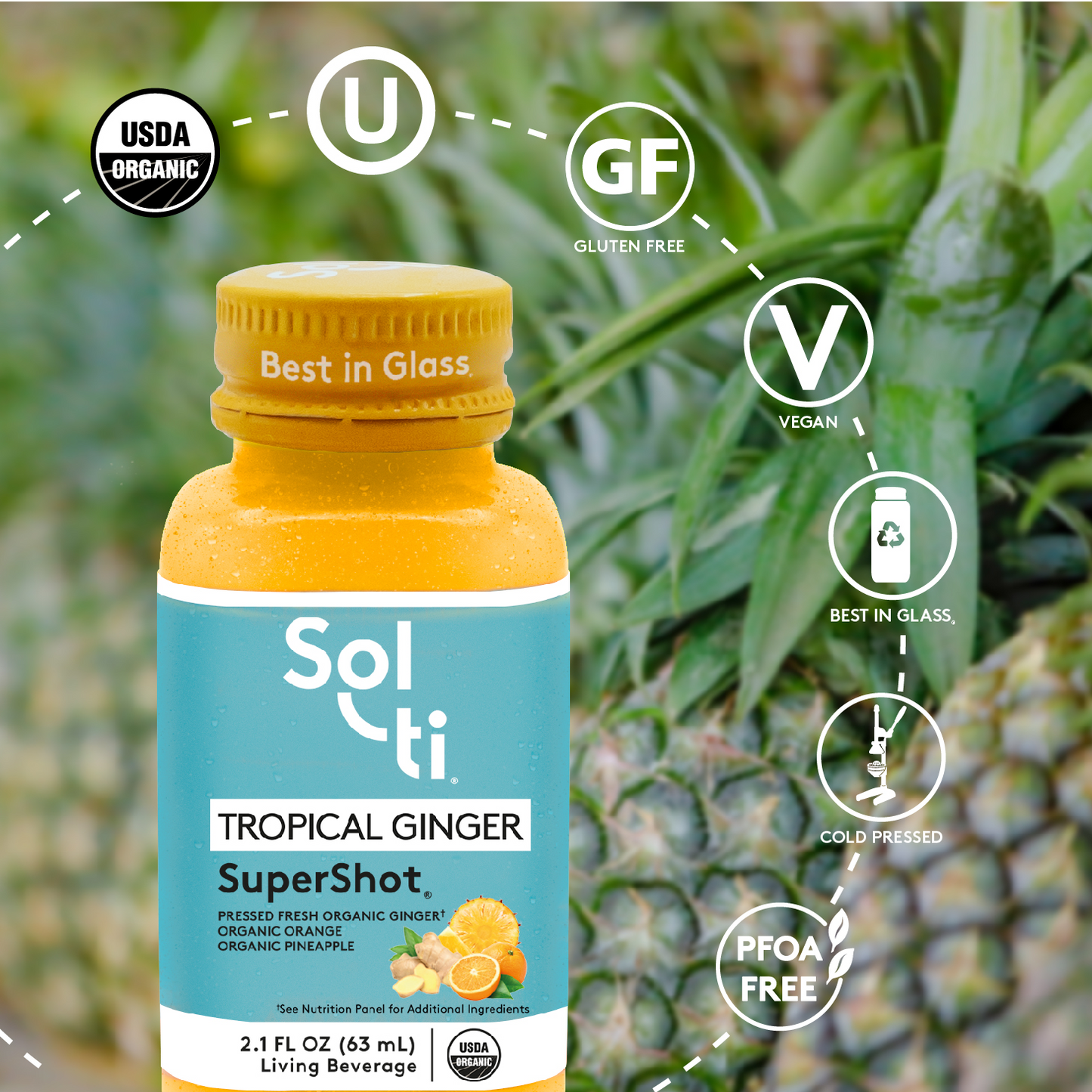 TROPICAL GINGER SuperShot®(12 PACK)