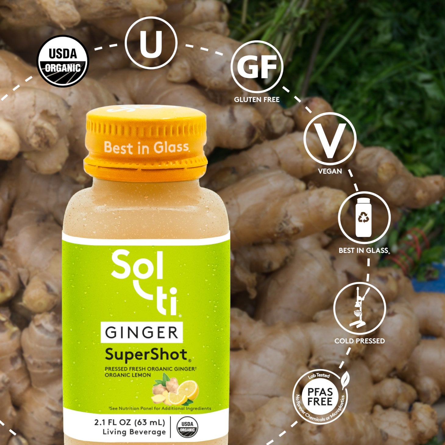 GINGER SuperShot®(12 PACK) – Sol-ti Wholesale