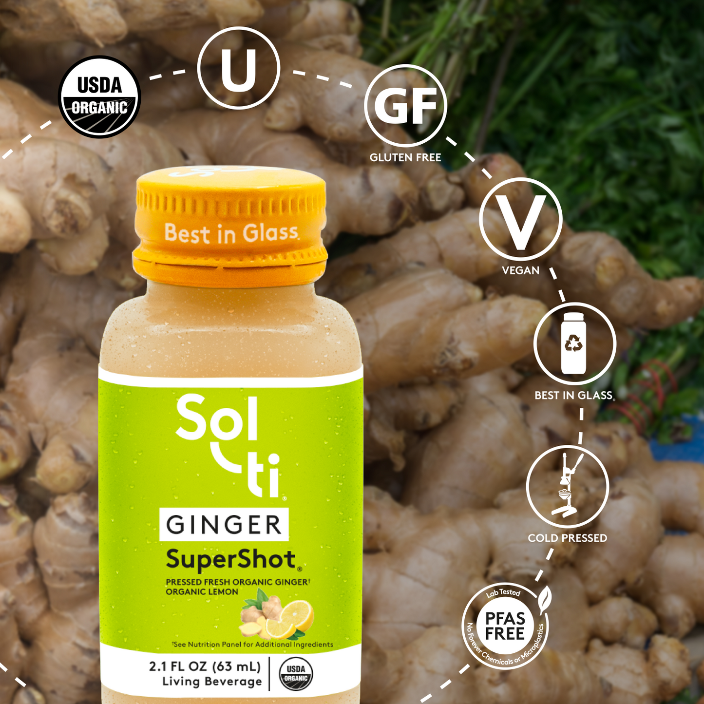 GINGER SuperShot®(12 PACK)