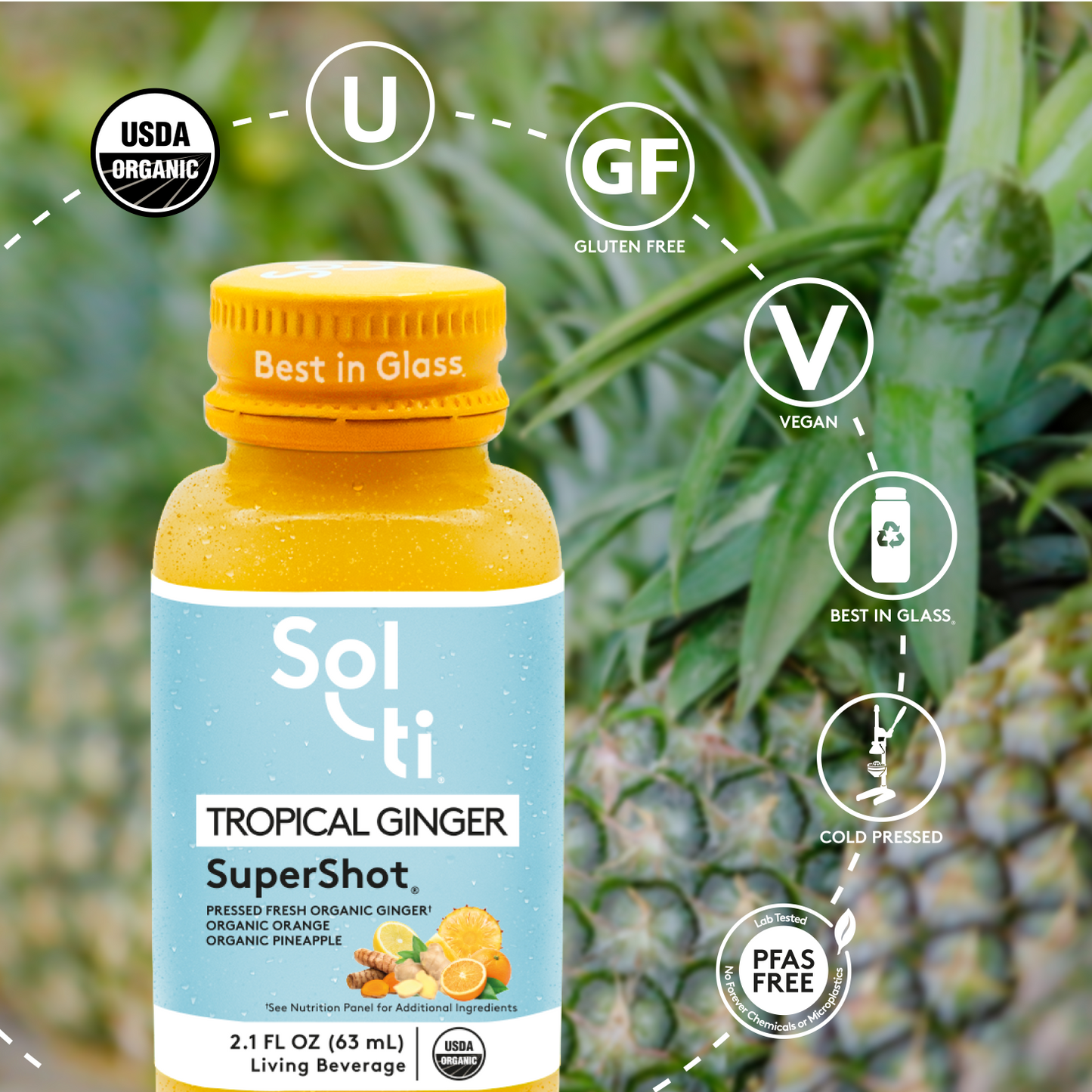 TROPICAL GINGER SuperShot®(12 PACK)